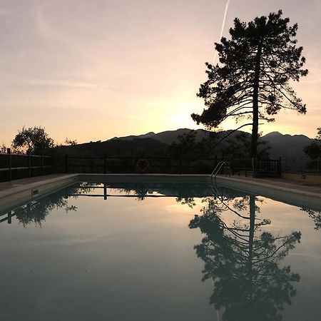 Agriturismo Il Pino San Martino in Freddana Εξωτερικό φωτογραφία