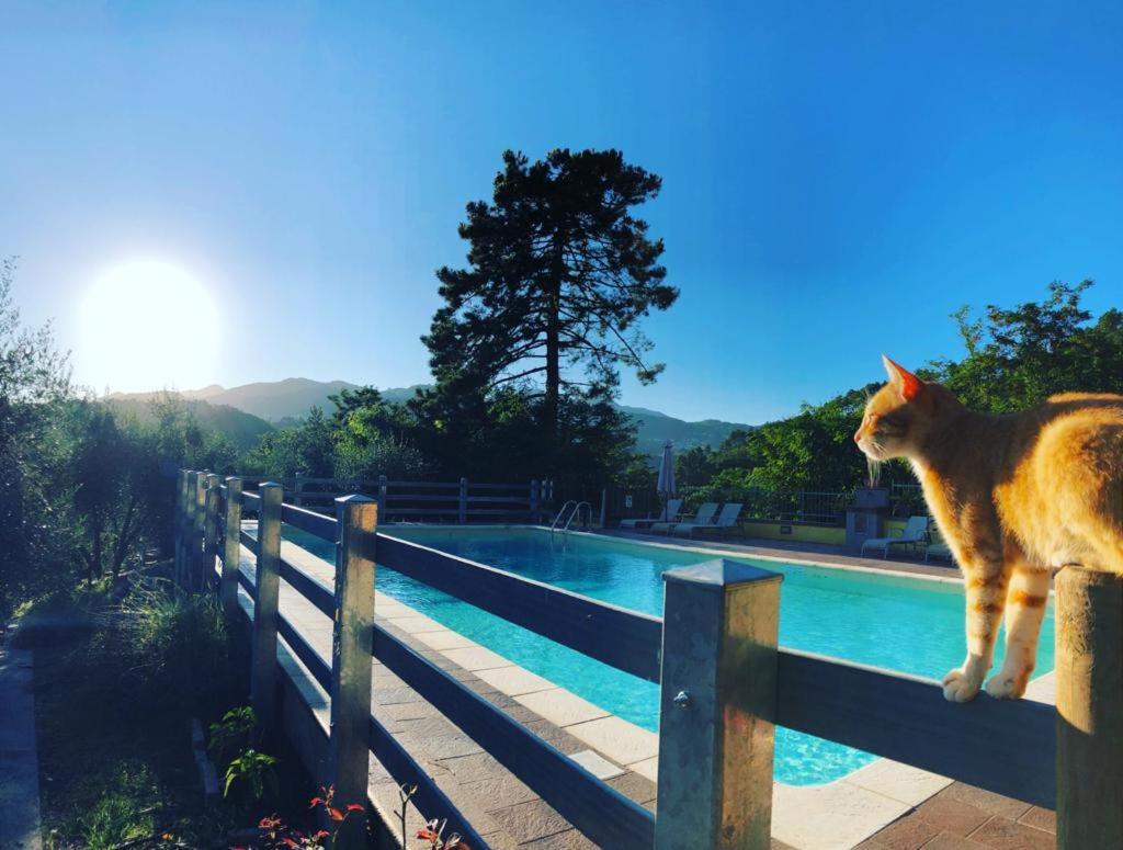 Agriturismo Il Pino San Martino in Freddana Εξωτερικό φωτογραφία