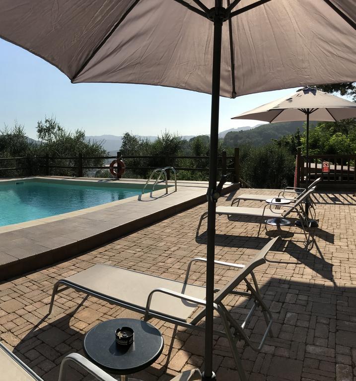 Agriturismo Il Pino San Martino in Freddana Εξωτερικό φωτογραφία