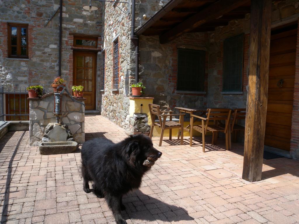 Agriturismo Il Pino San Martino in Freddana Εξωτερικό φωτογραφία